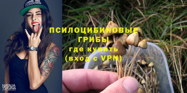 ПСИЛОЦИБИНОВЫЕ ГРИБЫ Алексеевка