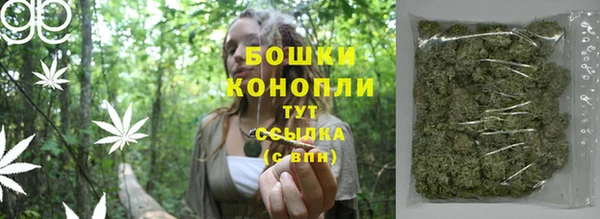ПСИЛОЦИБИНОВЫЕ ГРИБЫ Алексеевка