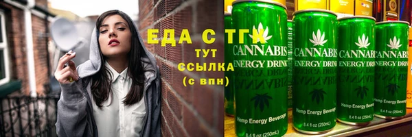 хмурый Гусь-Хрустальный