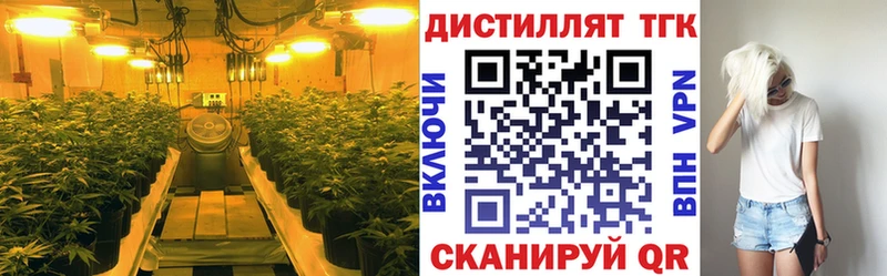 Дистиллят ТГК THC oil  цены наркотик  Северская 