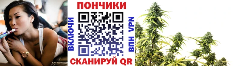 Каннабис семена  Северская 